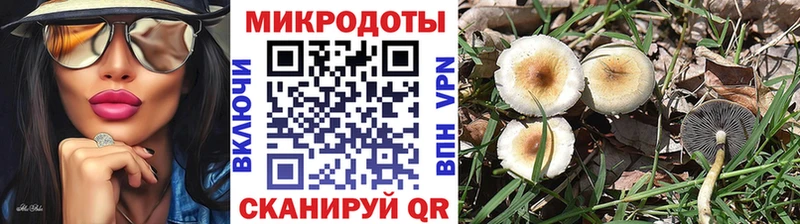 кракен маркетплейс  Верхоянск  Псилоцибиновые грибы Psilocybe 